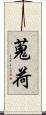 蒐荷 Scroll