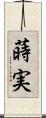 蒔実 Scroll