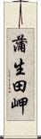 蒲生田岬 Scroll