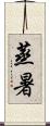 蒸暑 Scroll
