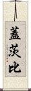 蓋茨比 Scroll