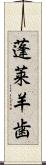 蓬莱羊歯 Scroll