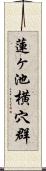 蓮ヶ池横穴群 Scroll