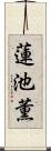 蓮池薫 Scroll