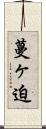 蔓ヶ迫 Scroll