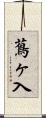 蔦ヶ入 Scroll