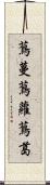 蔦蔓;蔦蘿;蔦葛 Scroll