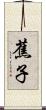 蕉子 Scroll