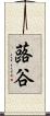 蕗谷 Scroll