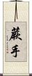 蕨手 Scroll