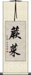 蕨菜 Scroll