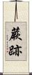 蕨跡 Scroll