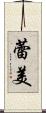 蕾美 Scroll