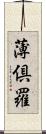 薄倶羅 Scroll