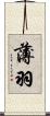 薄羽 Scroll