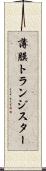薄膜トランジスター Scroll