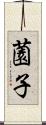 薗子 Scroll