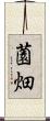 薗畑 Scroll