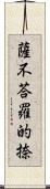 薩不荅羅的捺 Scroll