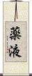 薬液 Scroll