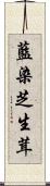 藍染芝生茸 Scroll