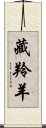 藏羚羊 Scroll