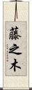 藤之木 Scroll