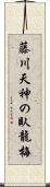 藤川天神の臥龍梅 Scroll