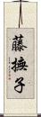 藤撫子 Scroll