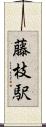 藤枝駅 Scroll