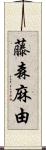 藤森麻由 Scroll