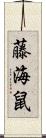 藤海鼠 Scroll