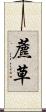 藨草 Scroll