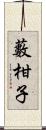 藪柑子 Scroll