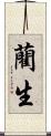 藺生 Scroll
