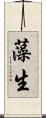 藻生 Scroll