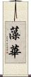 藻華 Scroll