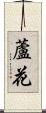 蘆花 Scroll