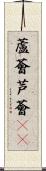 蘆薈 Scroll