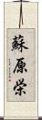 蘇原栄 Scroll