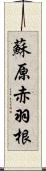 蘇原赤羽根 Scroll