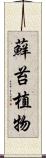 蘚苔植物 Scroll