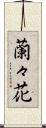 蘭々花 Scroll
