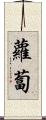 蘿蔔 Scroll