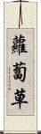 蘿蔔草 Scroll