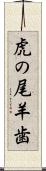 虎の尾羊歯 Scroll