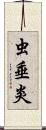 虫垂炎 Scroll