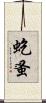 虼蚤 Scroll