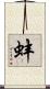蚌 Scroll