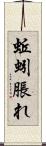 蚯蚓脹れ Scroll